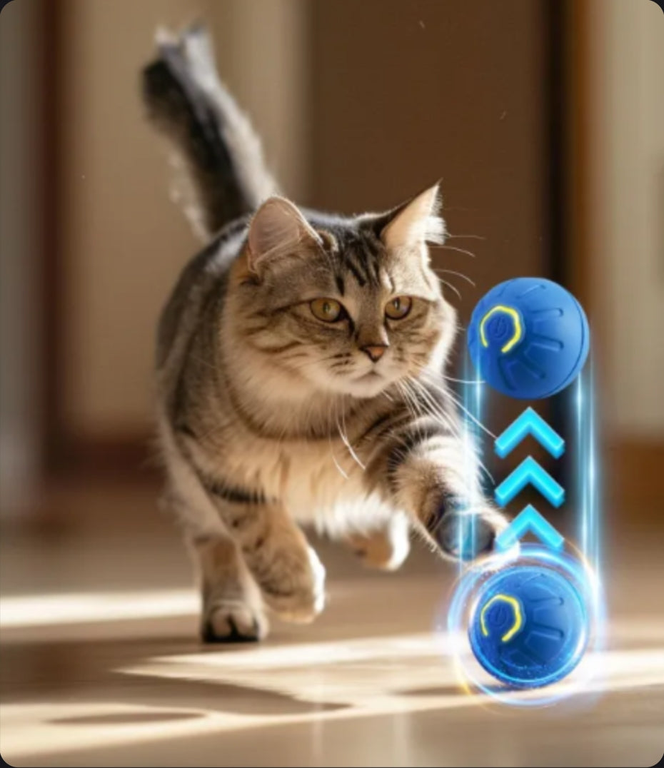 Interactive Smart Dog Toy Ball
